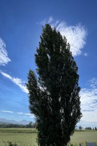 200752**** UNIZO旅館-金澤百萬石通優惠