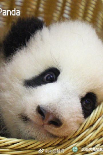 Peimiao HOTEL 講 大津百町 クーポン