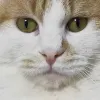 Avatar 3