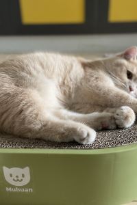 Baibaimeiyouzhuya 佛羅倫薩露可西廣場酒店優惠