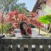 尝尝玩玩逛逛
