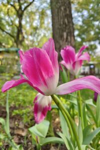 Wocaishizhiai 福隆賓館優惠