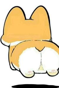 SDSC_KIM 桔子酒店（上海外灘虹口足球場店）優惠