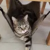 Avatar 1