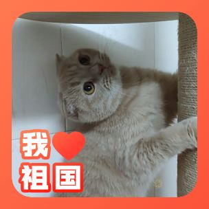 月亮一个多少钱
