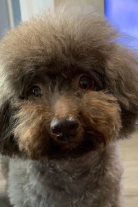 AanuoA 博多駅博多口酒店優惠