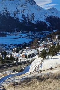 Defender of humanity 卡爾頓酒店優惠