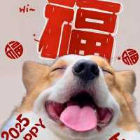 民宿超人