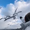 Avatar 2