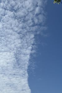 訪客用戶 廈門慢生活·凡陌海景飯店（集美學村嘉庚公園店）優惠