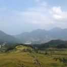 班巴克洛武则天