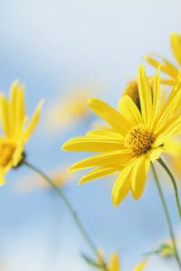 Xiaochen63 恆新商務飯店（東莞厚街萬達廣場店）優惠