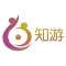 知游旅行