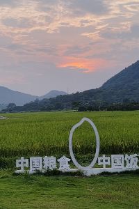 .Jason 正佳金殿維福頓公寓（珠江新城正佳廣場店）優惠