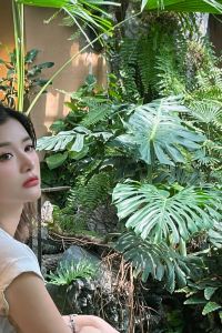 XiaodoudeshiguangjiluBeanCapsule