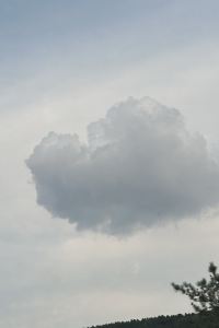 Xiaosongxu7 海友飯店（合肥淮河路步行街店）優惠