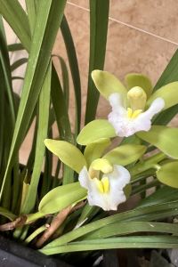 vina_c 秋果酒店（深圳車公廟上沙地鐵站店）優惠