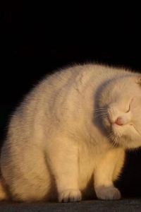 Chulaiwandangranshiyaokaixin 有戲電影飯店（廈門火車站萬象城店）優惠