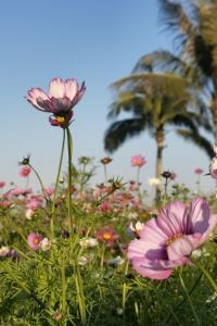 ZHYR2021 汕尾巴黎半島飯店優惠