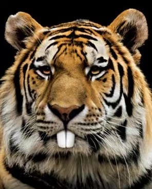 head-img
