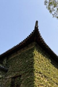 訪客用戶 濟州威斯泰飯店優惠