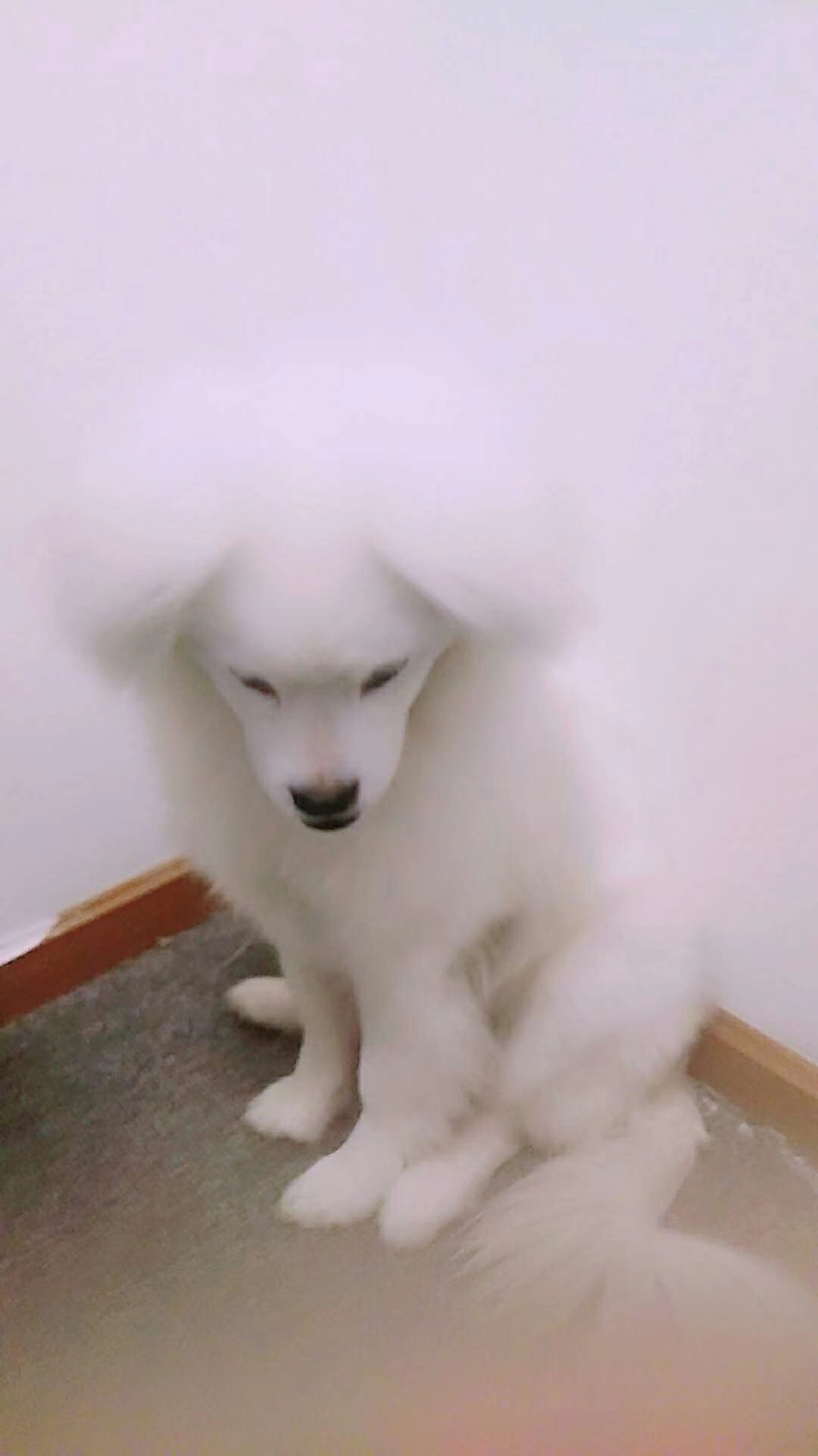 head-img