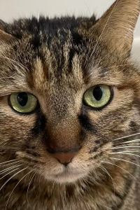 Chaojiwudimeiqiguan 策馬特青年旅舍優惠