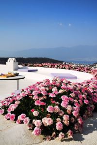 DJ2035 珀斯帕米利希爾頓酒店優惠