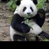 Avatar 3