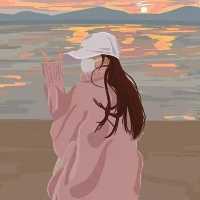 浪迹猫