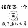 user-icon