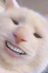 M226935**** 黃金銀行飯店優惠