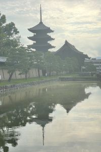 Ginozhang 25 모텔 여수 쿠폰