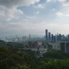 Avatar 1