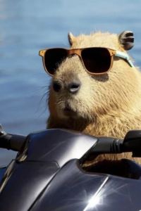 Weiandezhibaoji 上海外灘璞硯酒店優惠