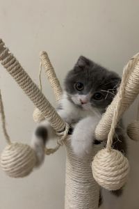 Dongdong0965689923 吉隆坡國際機場航空城圖恩酒店（機場酒店）優惠