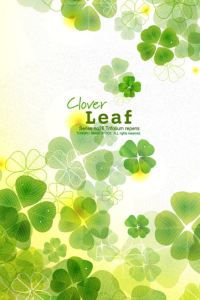 M415287**** 北京東方君悅大飯店優惠