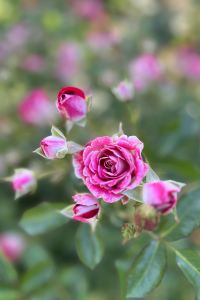 M7845**** 箱根ゆとわ クーポン