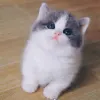 Avatar 3