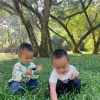 Avatar 1