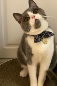 cherish711 フレックステイイン函館駅前 クーポン