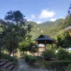 Avatar 1