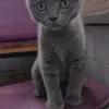 Avatar 2