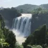 Avatar 1