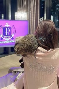 wshank 杭州遠洋凱賓斯基飯店優惠