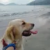三十七亿少女的梦
