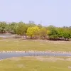 Avatar 3