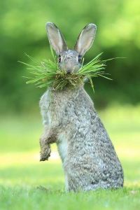 M44169**** 利閤家美飯店（北京西站北廣場店）優惠