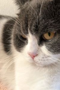 Luoweishuang 洛杉磯國際機場體育場酒店-埃爾塞貢多/英格伍德優惠