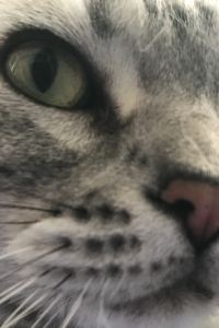 Zhaozhao687888 大同雲岡大飯店優惠